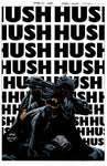 Pre-Order Batman #160 (Hush Sequel Part 3) by Jeph Loeb and Tim Sale