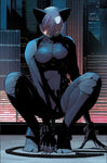 Pre-Order Absolute Batman #13 by Scott Snyder and Nick Dragotta