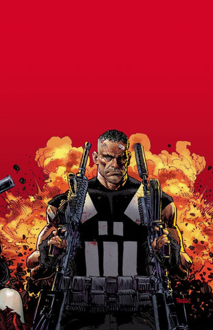 Pre-Order Marvel Knights: Punisher by Jimmy Palmiotti and Dan Panosian